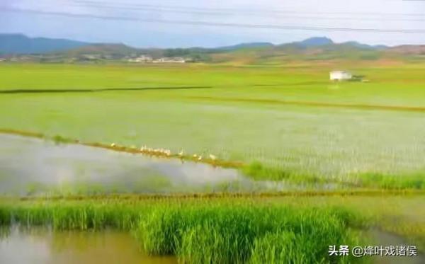 朝鮮五日遊的收穫：去了才發現，真實的朝鮮，和想象的不太一樣