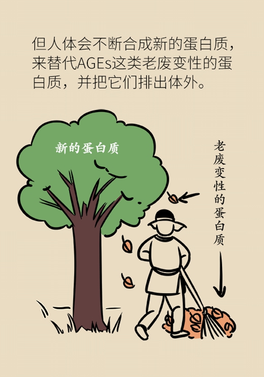 女性若想面板好，這些食物要戒掉