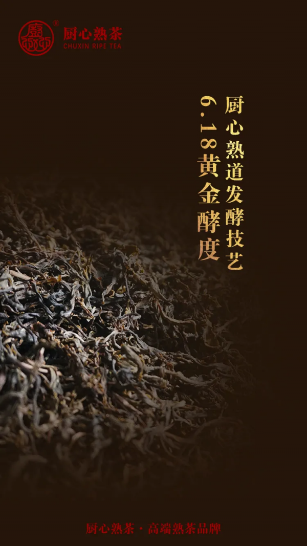 發酵的魔力，健康熟茶溫養身心