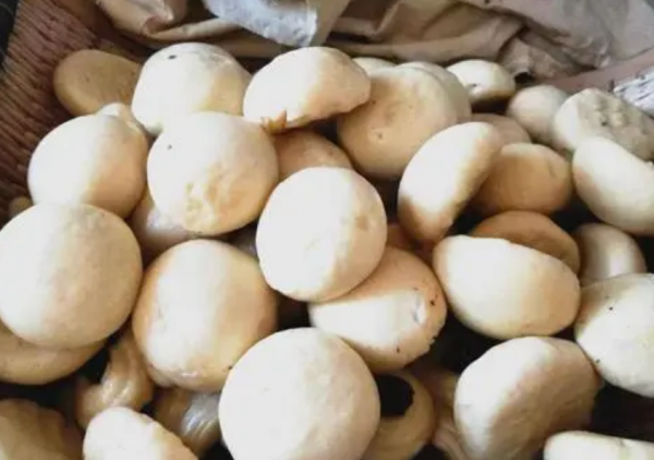 清代一考生抱著裝饅頭的麻袋參加殿試,康熙看文章後:你就是狀元 清代一考生抱著裝饅頭的麻袋參加殿試,康熙看文章後:你就是狀元