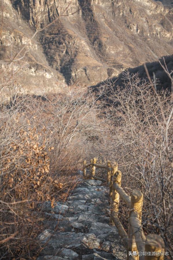 北京徒步登山：房山藥王谷環穿，三水步道泗馬溝段，灌木叢段太野