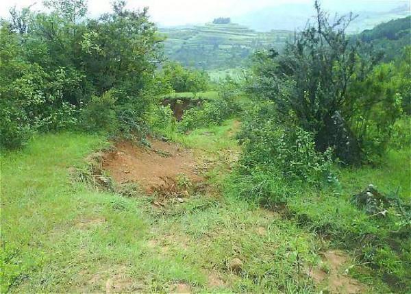 為軍長守墓47年,80歲終盼來英雄後人:為英雄守墓,我不能食言 為軍長守墓47年,80歲終盼來英雄後人:為英雄守墓,我不能食言