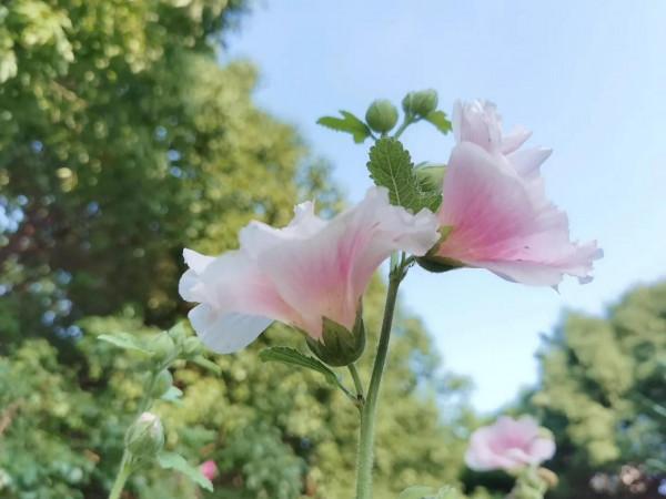 《你喜歡儀式感嗎》「2」