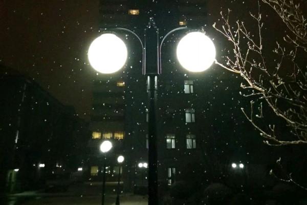 「散文」初冬好美,你好溫柔 「散文」初冬好美,你好溫柔