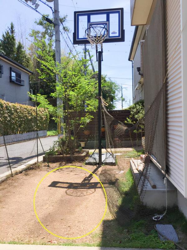 院子不種樹也不種菜，夷為平地再圍3米高護欄，圈個籃球場家裡用