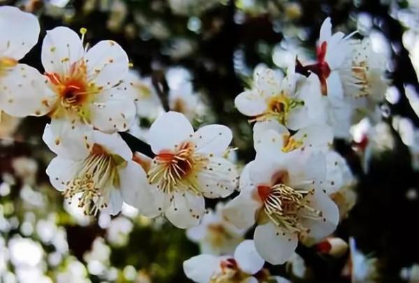 武俠小說中的江湖聖地 武俠小說中的江湖聖地