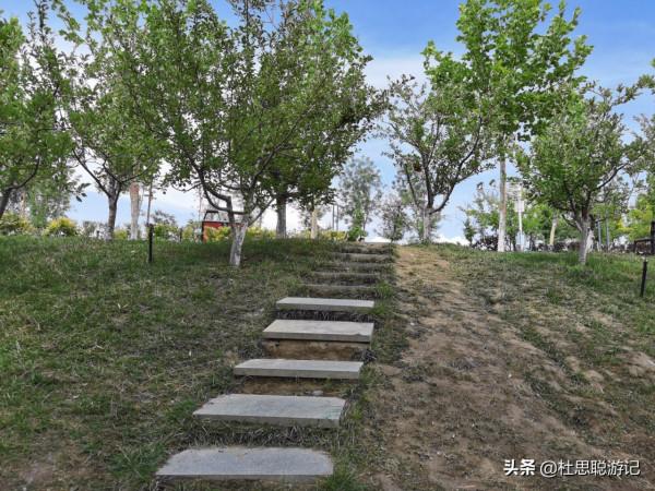 漢EV自駕新疆伊犁，一個人獨自玩耍，逛鞏留縣的蝶湖景區