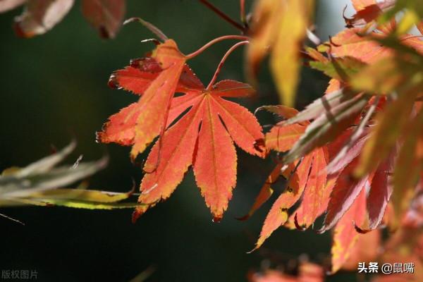 《尉繚子》原文 譯文(十七) 《尉繚子》原文 譯文(十七)
