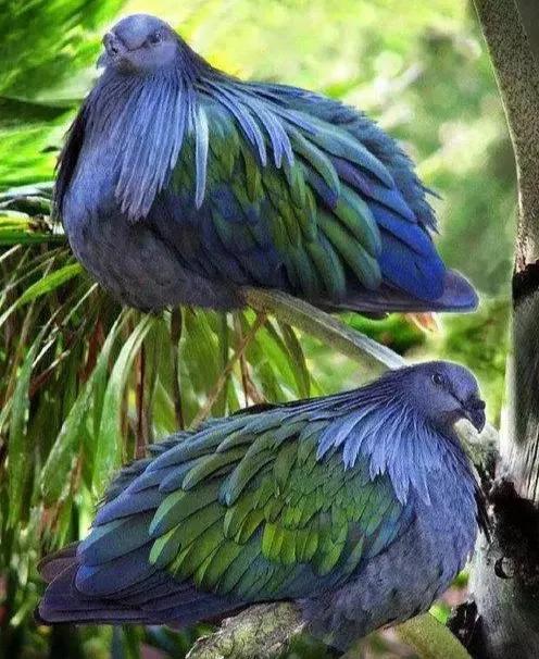 點亮愛的翅膀，帶著你一路飛翔，旅途有你，便是天堂