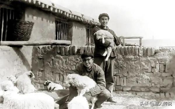 知青故事:上山放羊救了一隻狼崽,五年後回城狼群追著驢車送他們 知青故事:上山放羊救了一隻狼崽,五年後回城狼群追著驢車送他們