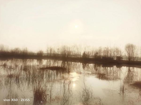 “油畫”老西灣 “油畫”老西灣