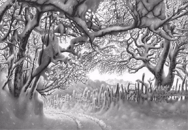 畫雪61年，74歲老人一支鉛筆將雪畫活