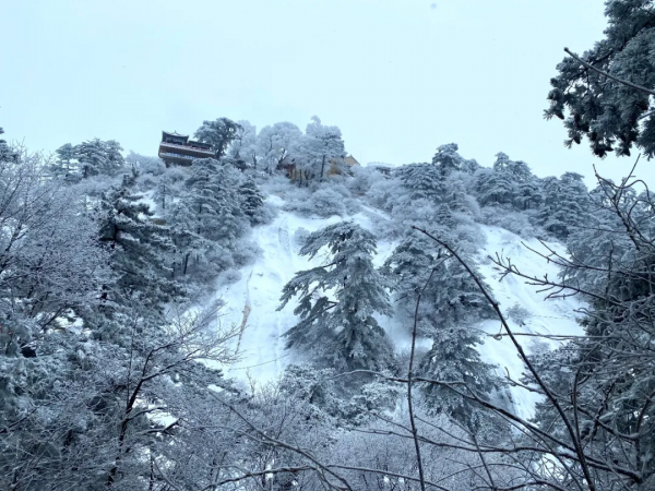 國內冬日景色最美的18個地方，個個都綻放光芒，現在出發還不晚