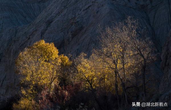 秋天最美的7大城市