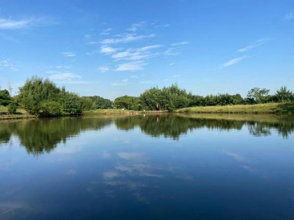 今天秋分，閒暇時光 去釣魚