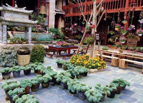 大理一獨特寺廟，內部滿園鮮花不燒香，清新淡雅很是雅緻