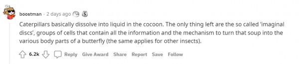 那些讓人&quot&semi;世界觀幻滅&quot&semi;的科學真相，看完覺得，人類真的太渺小了