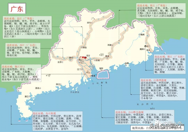 科學放流指南 &vert;（五）增殖放流水域在哪裡？放流物種怎麼選？