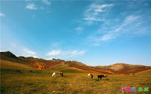 在怪山體驗,秋天的正確開啟方式 在怪山體驗,秋天的正確開啟方式