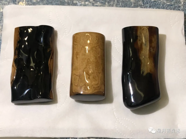 海中黃金木海柳中血柳區分