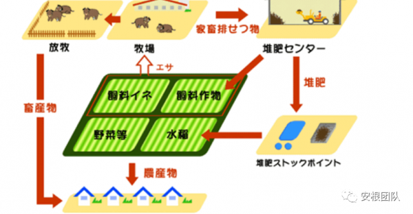 種養迴圈經濟存在的問題和解決措施