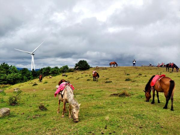 藏在湖南的大草原,被譽為“北江之源的一滴眼淚”,距市區60公里 藏在湖南的大草原,被譽為“北江之源的一滴眼淚”,距市區60公里