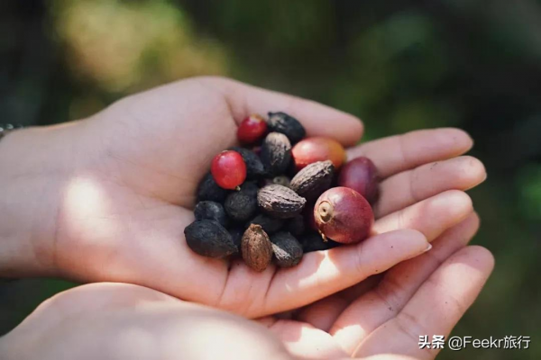 衝野浪、喝咖啡,比三亞便宜一半的海島度假地,我挖到了 衝野浪、喝咖啡,比三亞便宜一半的海島度假地,我挖到了
