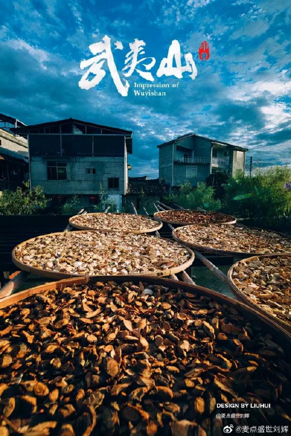 武夷山美的一萬種方式 武夷山美的一萬種方式