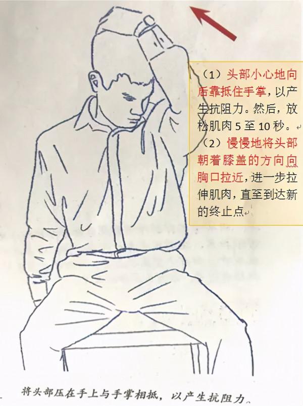 今天講一講肩胛提肌