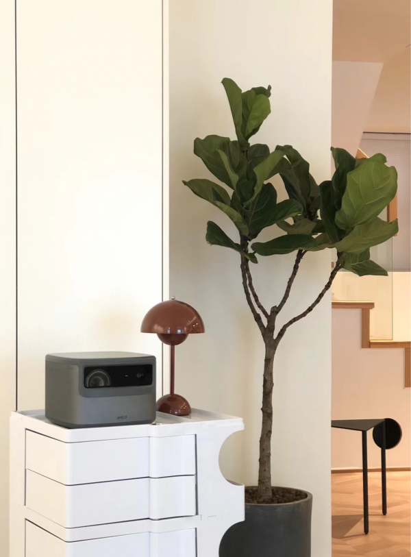 比喝可樂還容易胖的酸奶，好多人卻拿它們減肥