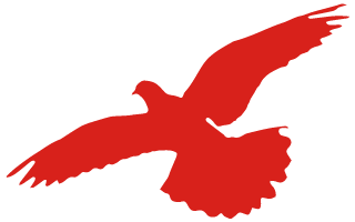 一封家書表初心