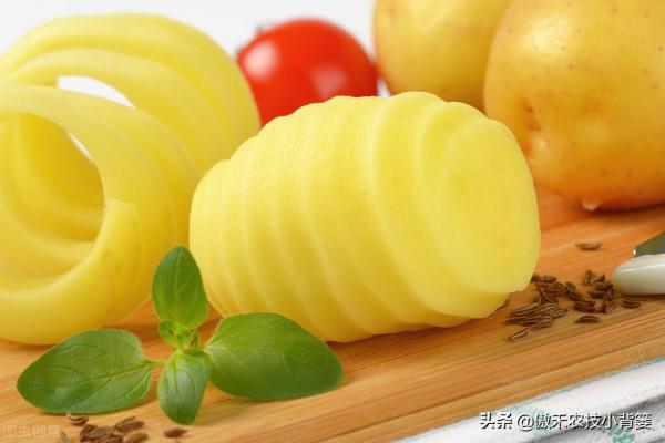 土豆表皮變綠後真的帶毒素嗎?人吃了有害嗎?土豆怎樣吃最安全? 土豆表皮變綠後真的帶毒素嗎?人吃了有害嗎?土豆怎樣吃最安全?