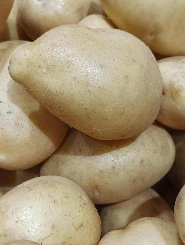 深度體驗cool 20pro拍照技術 深度體驗cool 20pro拍照技術