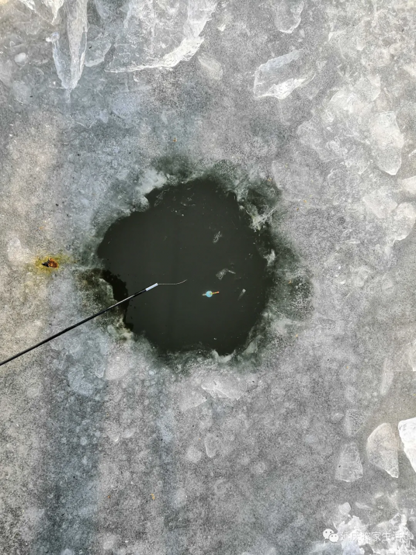 冰釣，享受冬季的樂趣