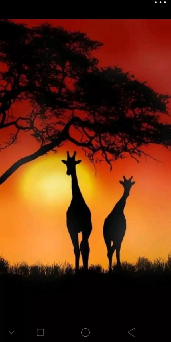 論教育：科學家，不一定都是神童