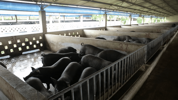 騰訊的第三次浪潮