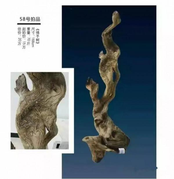 價值3000000元的極品崖柏根雕，到底長啥樣？