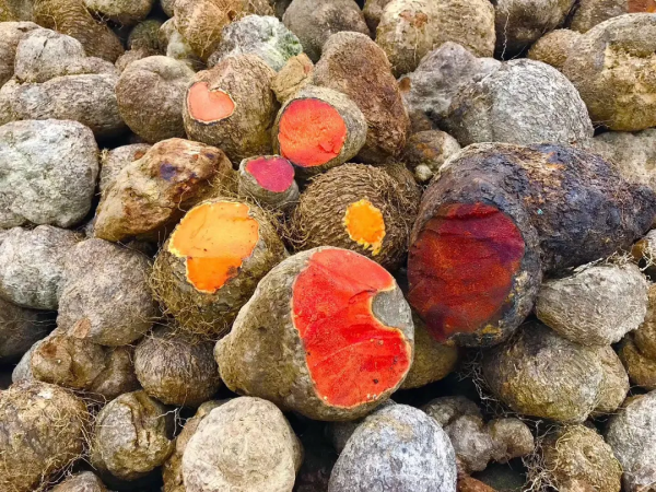 德國大師紮根北京胡同20年:中國元素使我獨樹一幟 德國大師紮根北京胡同20年:中國元素使我獨樹一幟