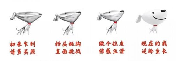 驚了!京東的小狗居然還有兄弟姐妹 驚了!京東的小狗居然還有兄弟姐妹