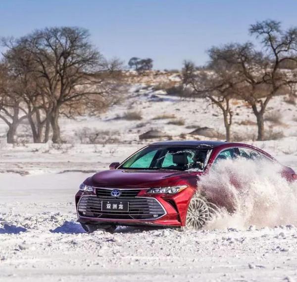 冰場見分曉 豐田家族誰是王者？誰是青銅？