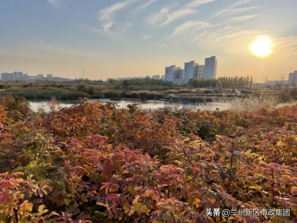 醉美秦王川，秋景如詩如畫