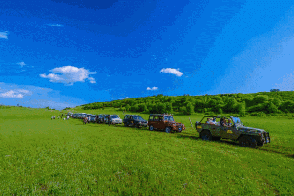 散文:活著,賴在歲月裡別走 散文:活著,賴在歲月裡別走