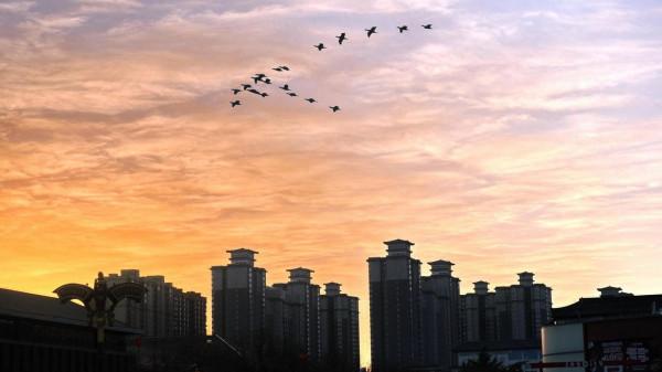 戲作大雁塔月圓夜小賦「嚴建設」 戲作大雁塔月圓夜小賦「嚴建設」