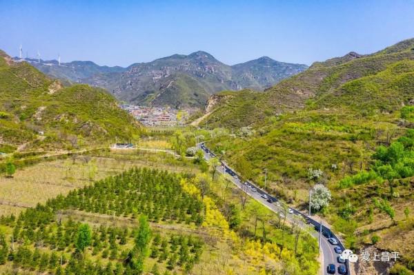 2021年北京“最美鄉村路”出爐!昌平這兩條路上榜! 2021年北京“最美鄉村路”出爐!昌平這兩條路上榜!