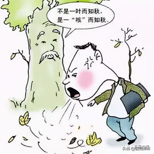 中秋話健康：感冒、痰熱咳嗽，可以試試這個食療方