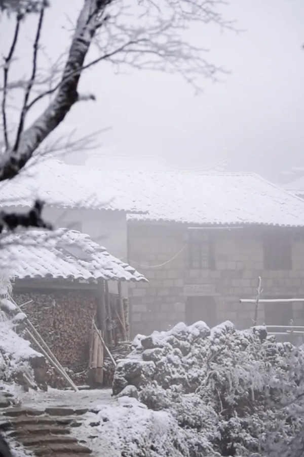 九九消寒，最適合做這些風雅小事