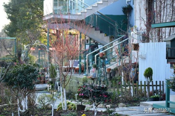 萬物起始，立春暖陽下，等待花園甦醒 &vert; 園丁