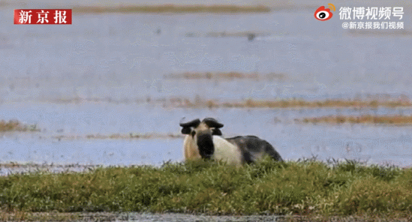 202“憶”② | 這些不期而遇，有靈且美！