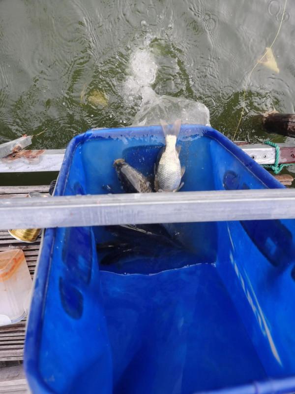 釣魚人的苦與樂 釣魚人的苦與樂