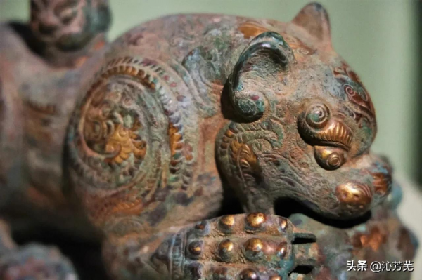 虎之五德，你知道嗎